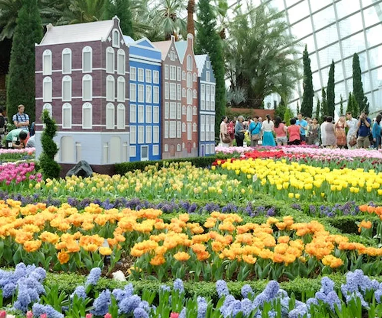 Experience image 4