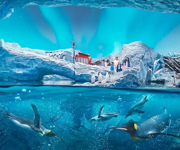 Experience image 5
