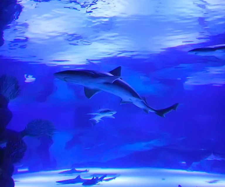 Experience image 1