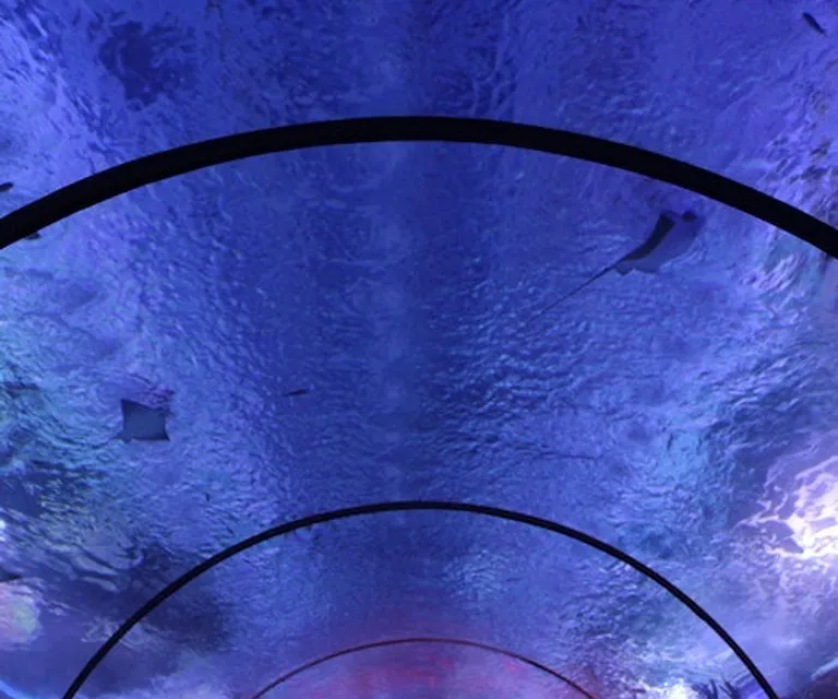 Experience image 6