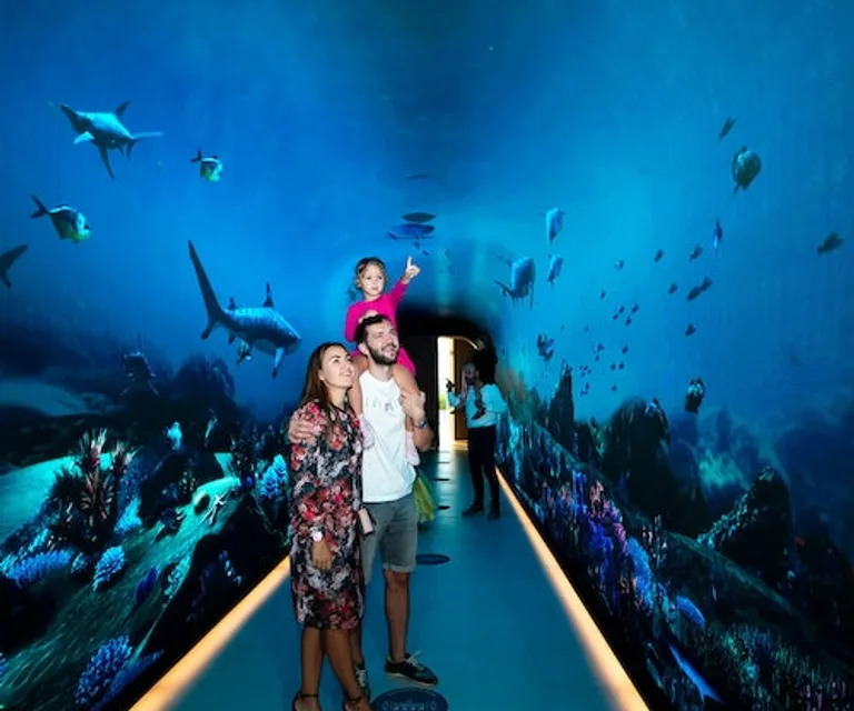Experience image 3
