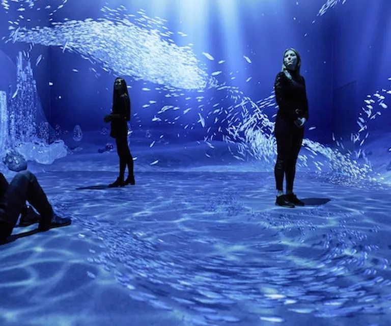 Experience image 2