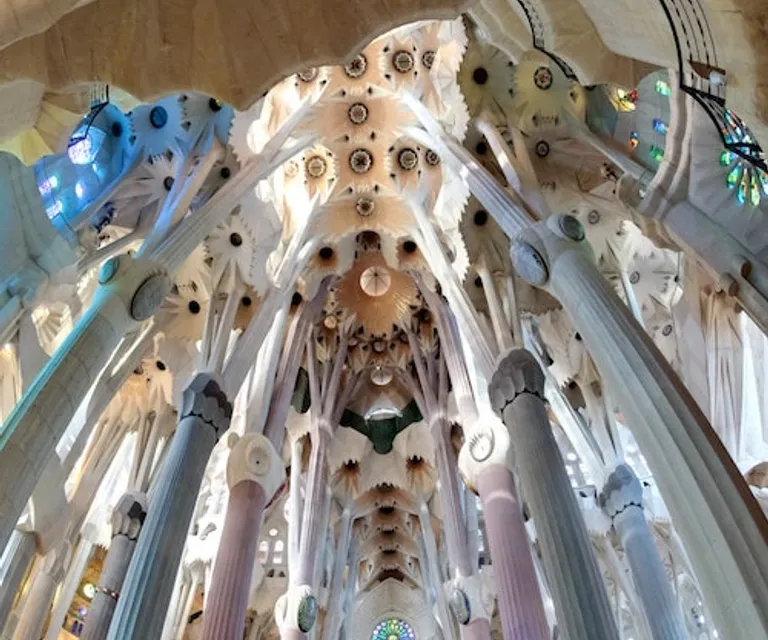 Experience image 7