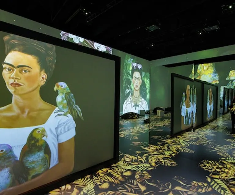 Experience image 1