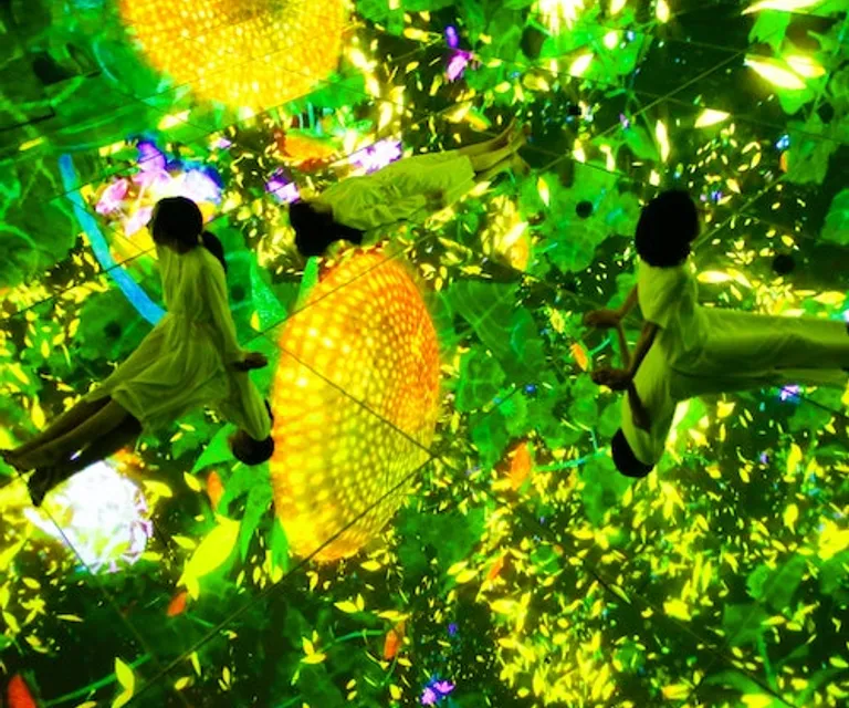 Experience image 6