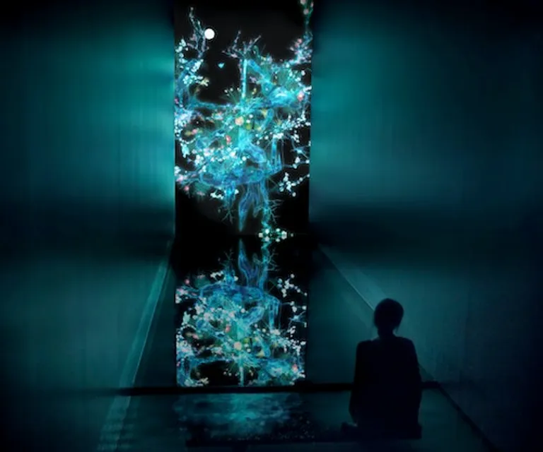 Experience image 7
