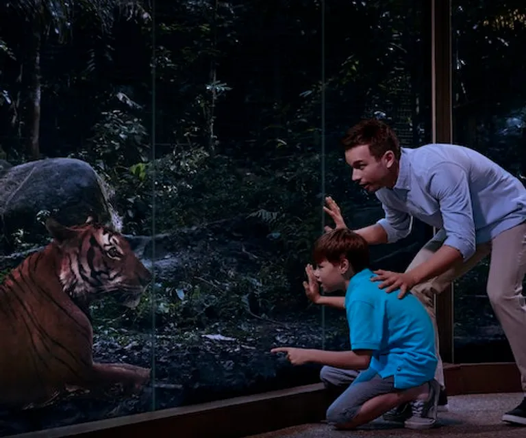 Experience image 4