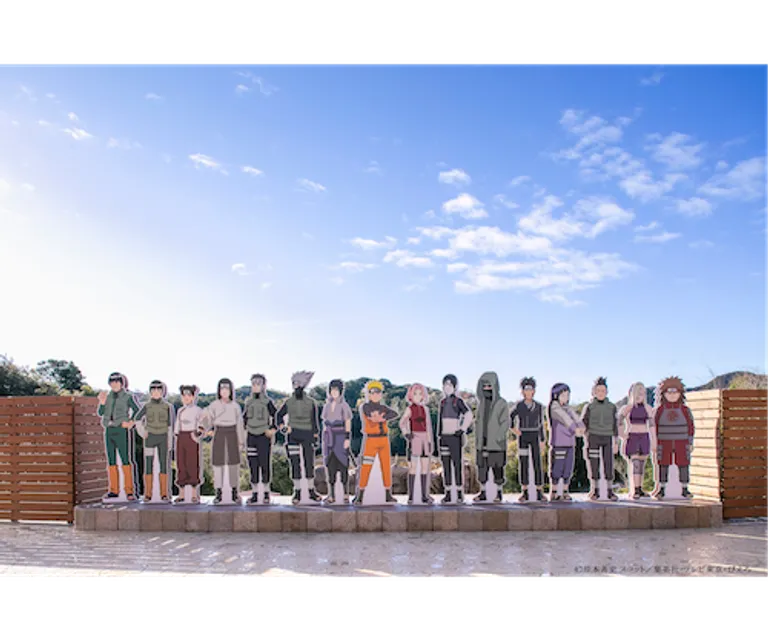 Experience image 5