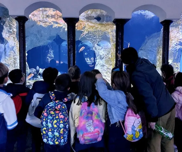Experience image 2