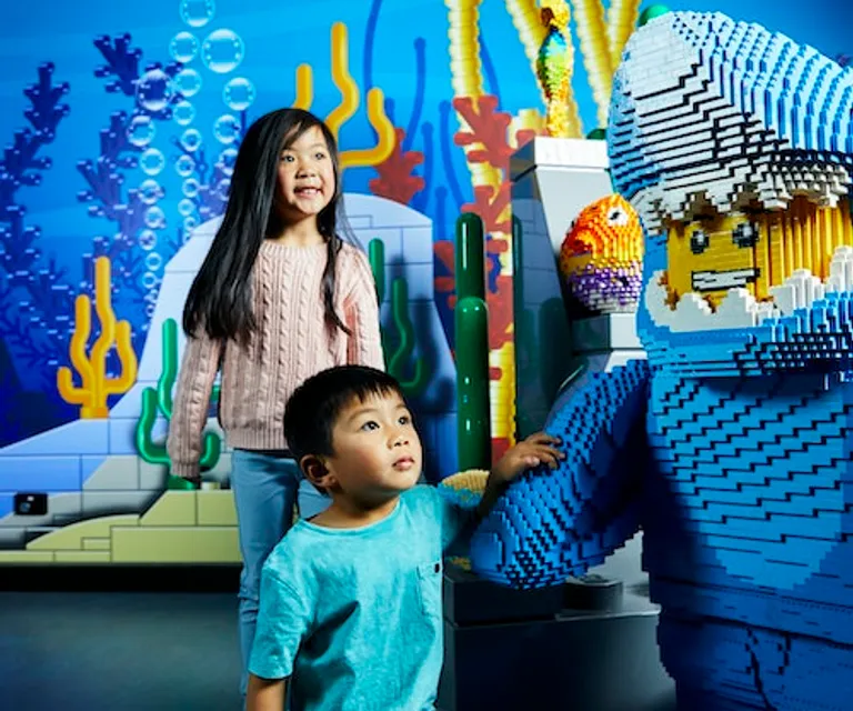 Experience image 6