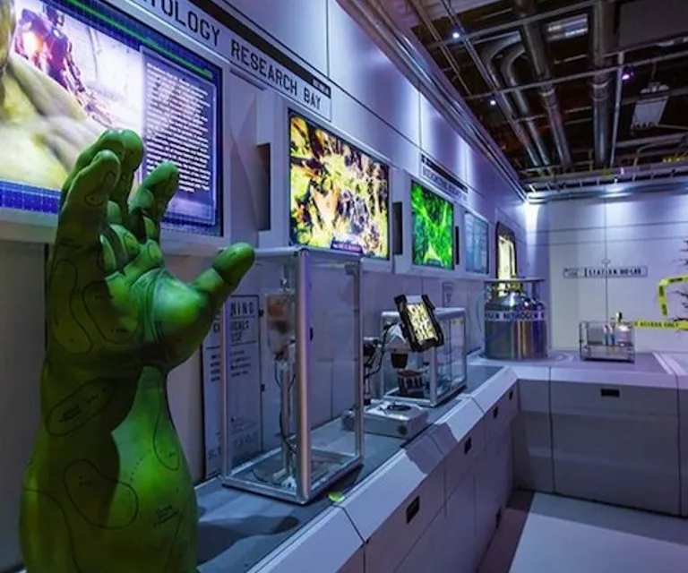 Experience image 6