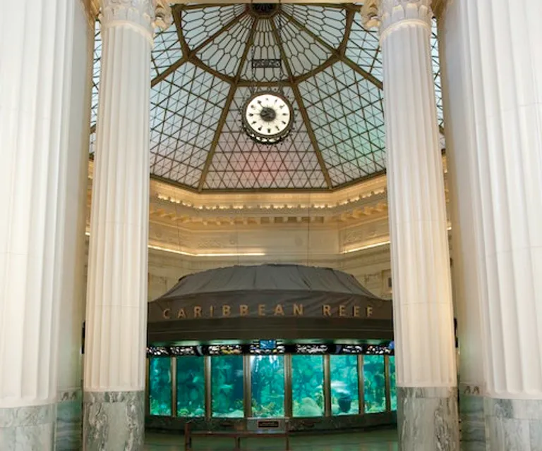 Experience image 6