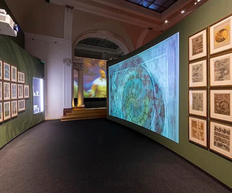 Experience image 4