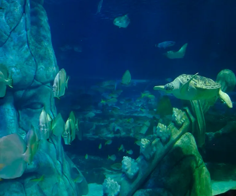 Experience image 9