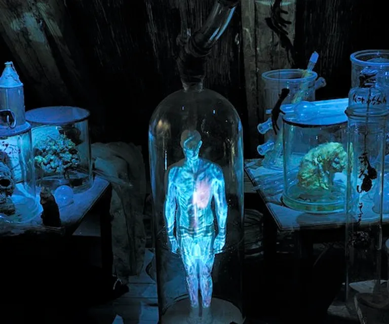 Experience image 5