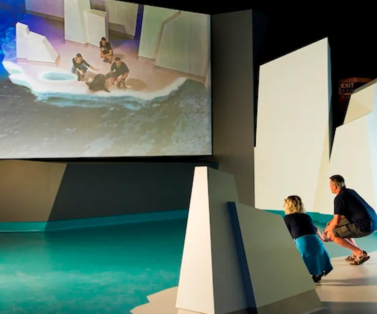 Experience image 4