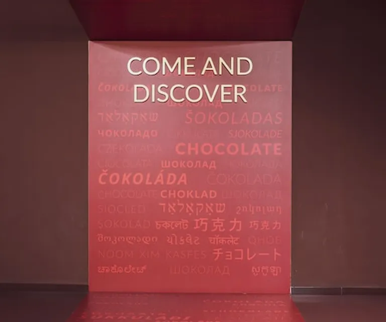 Experience image 7