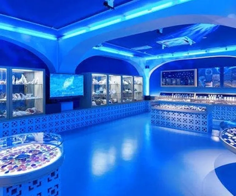 Experience image 12