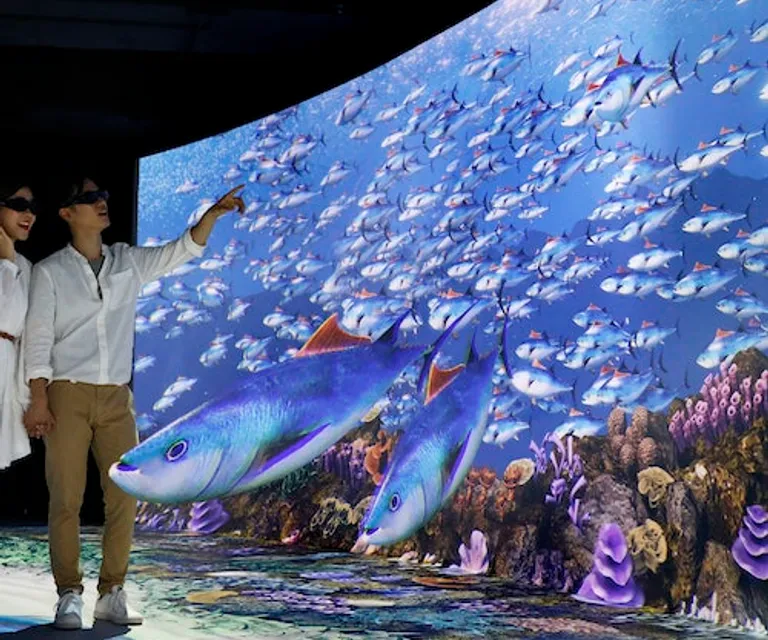 Experience image 15