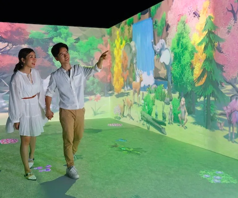 Experience image 16