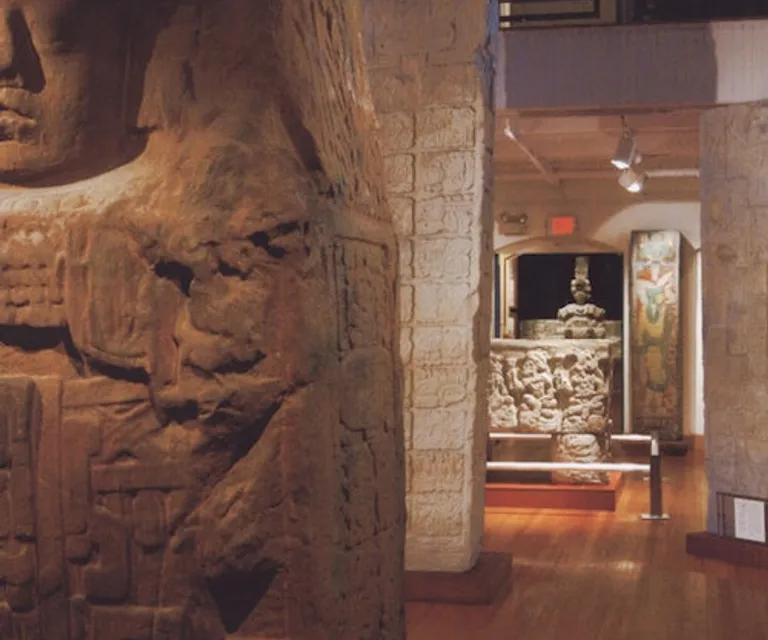 Experience image 6