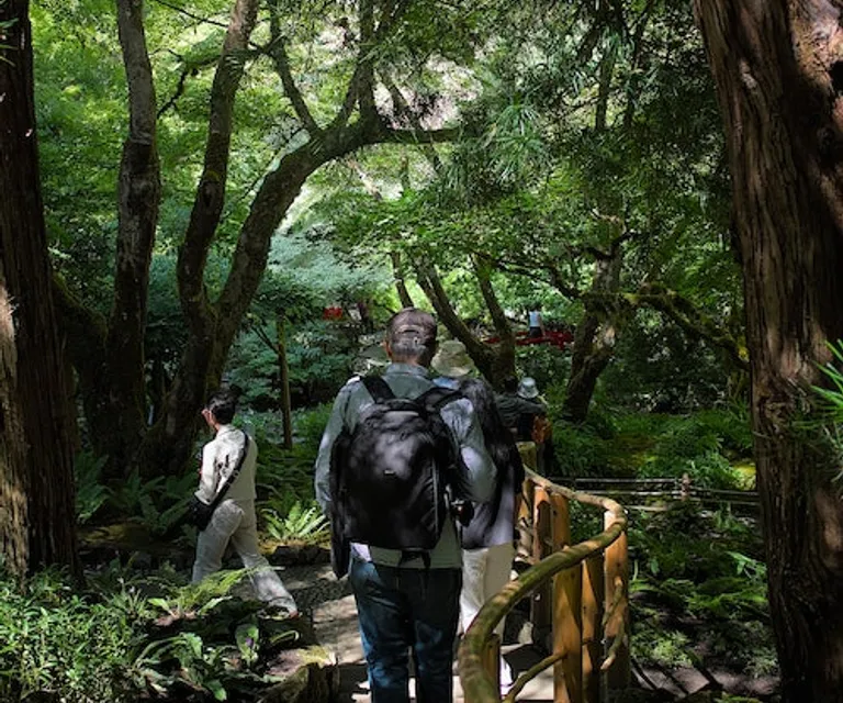 Experience image 5