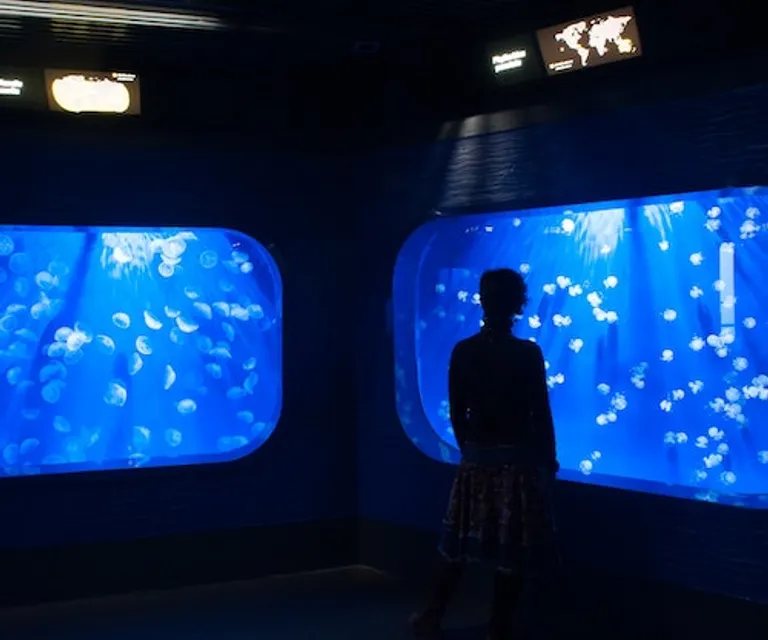 Experience image 4
