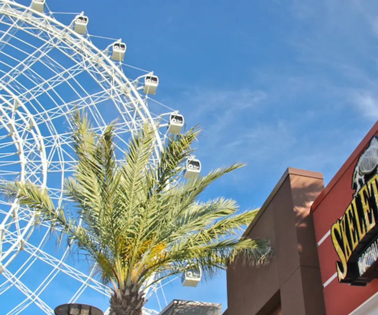 Experience image 6