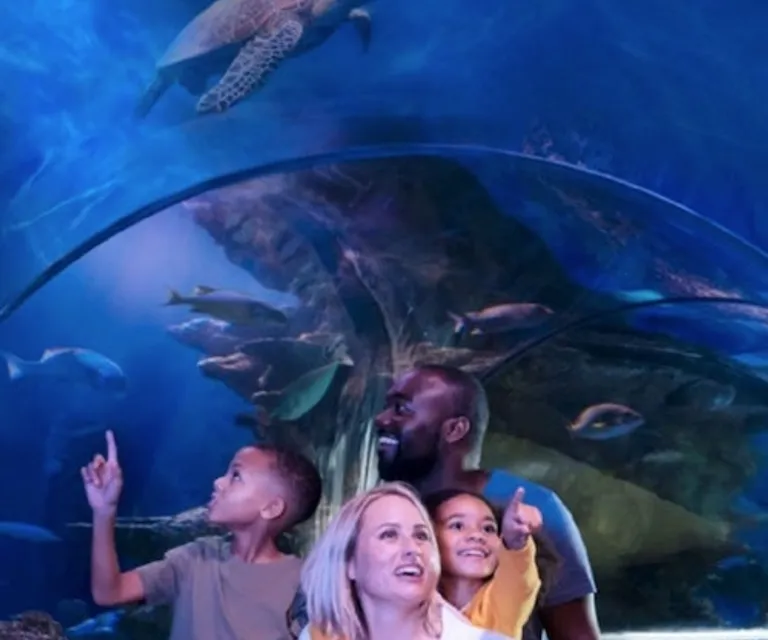 Experience image 12