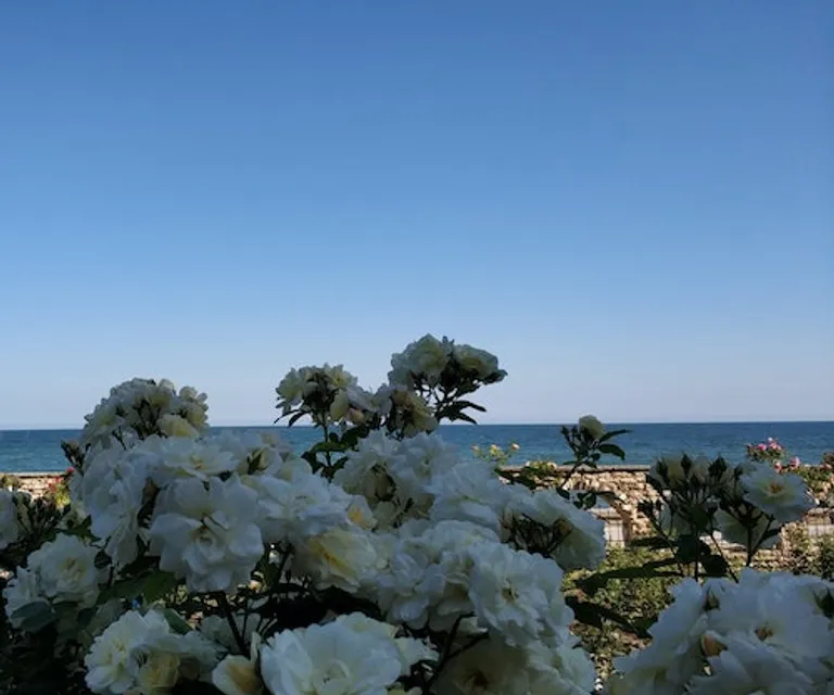 Experience image 12