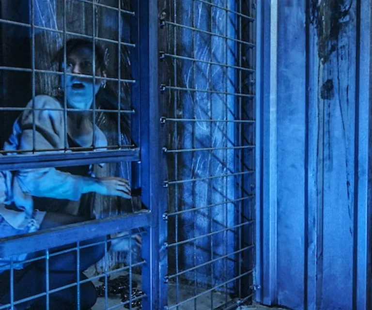 Experience image 6