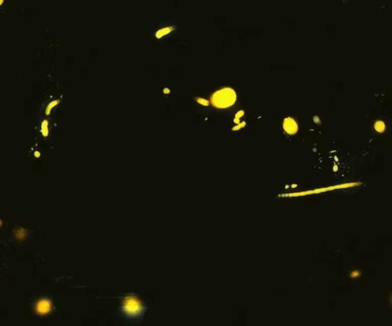 Experience image 4