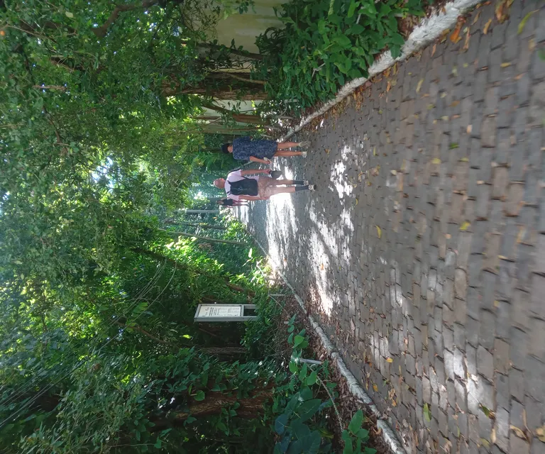 Experience image 6