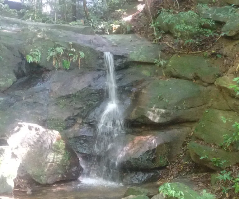 Experience image 4
