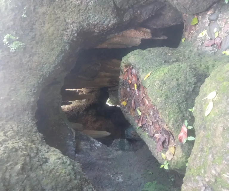 Experience image 7