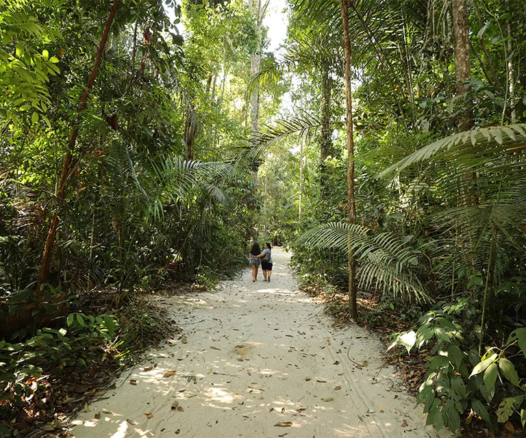 Experience image 3