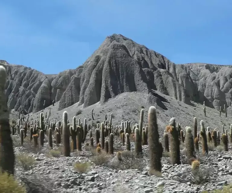 Experience image 3
