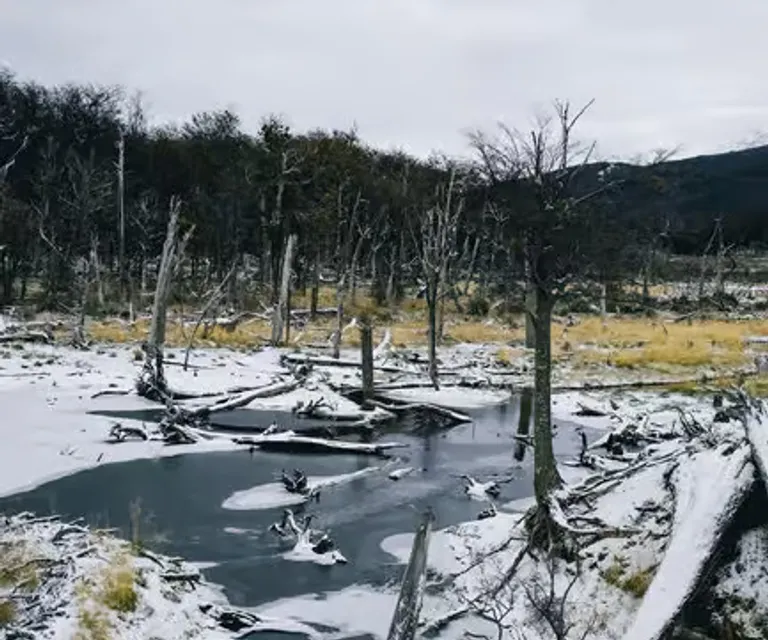 Experience image 2