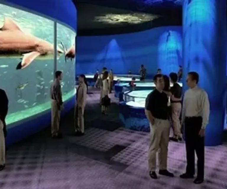 Experience image 6