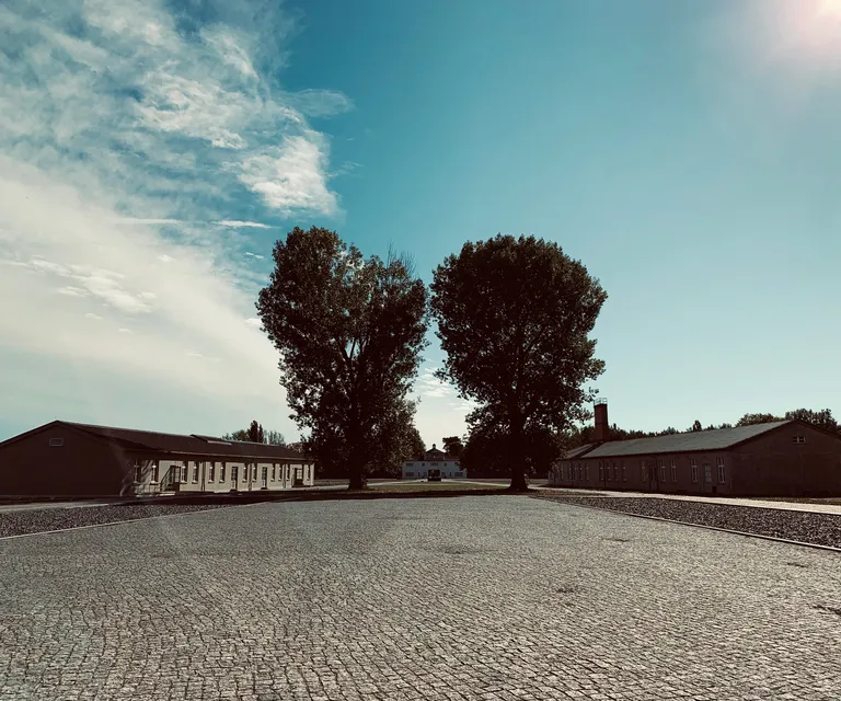 Experience image 6