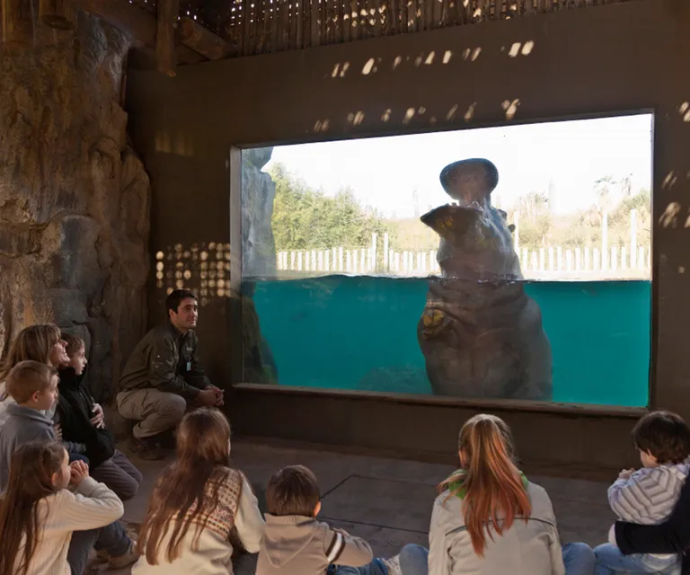 Experience image 12