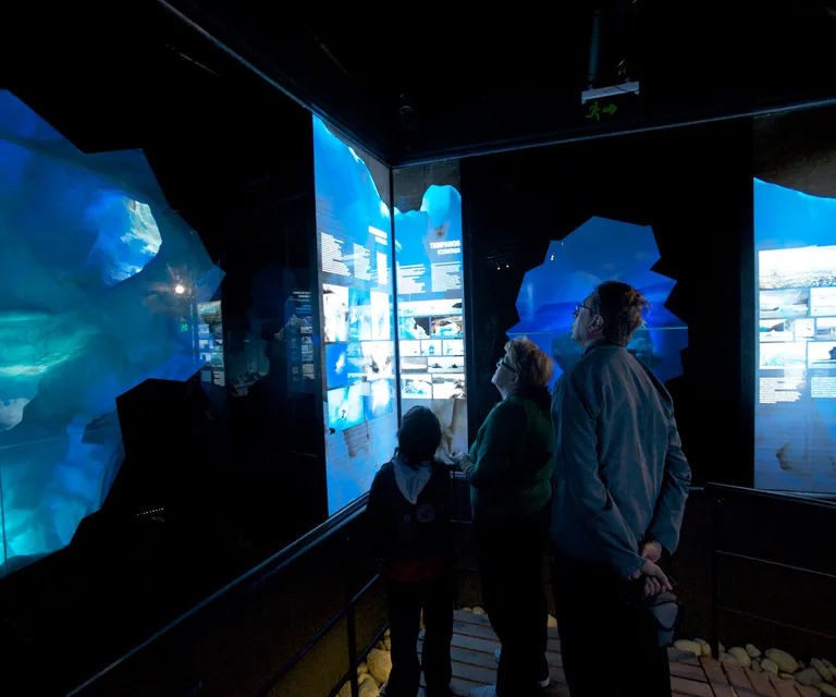 Experience image 3