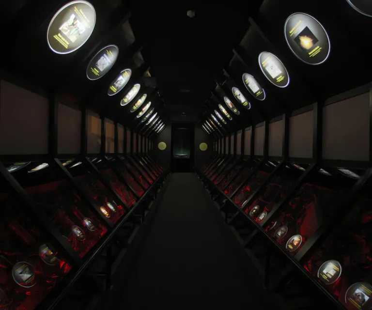 Experience image 10