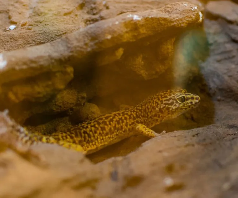Experience image 12