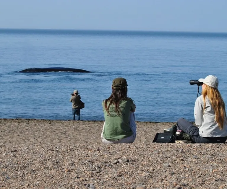Experience image 2