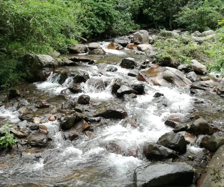 Experience image 12