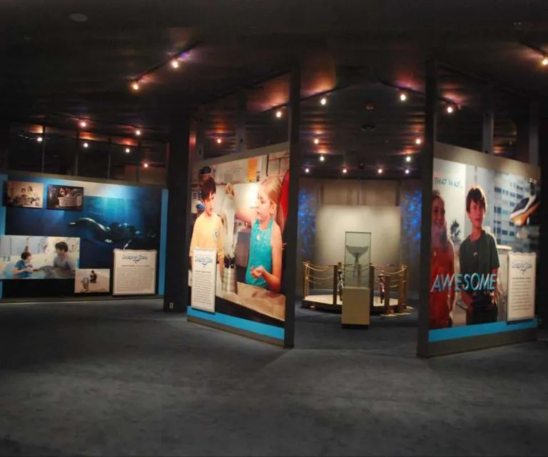 Experience image 5
