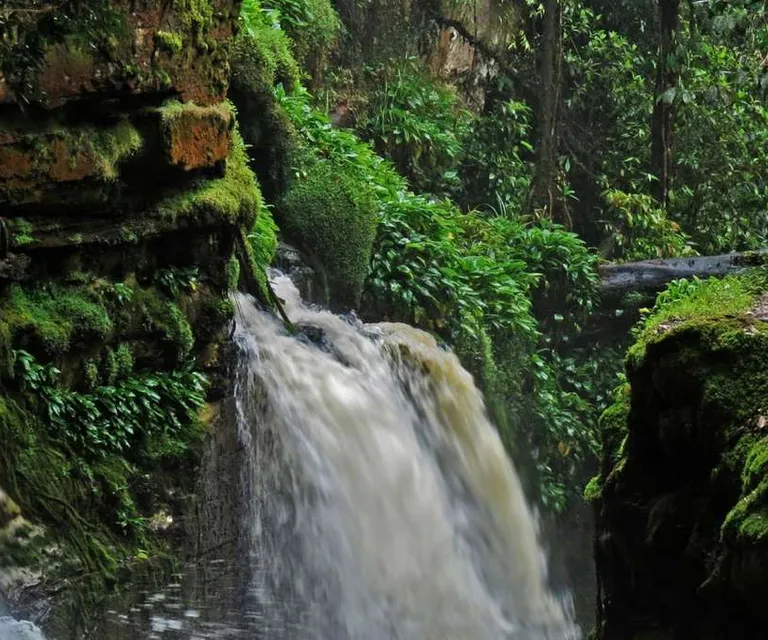 Experience image 8