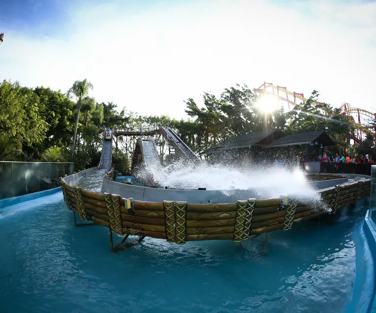 Experience image 8
