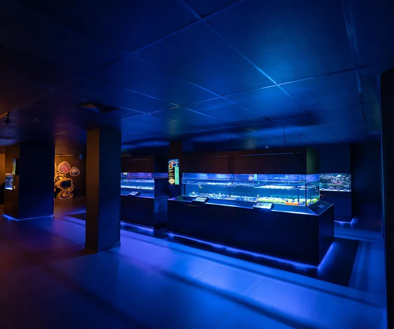 Experience image 3